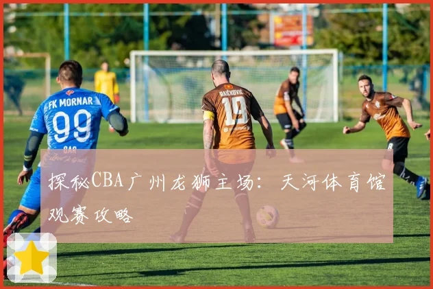 探秘CBA广州龙狮主场：天河体育馆观赛攻略