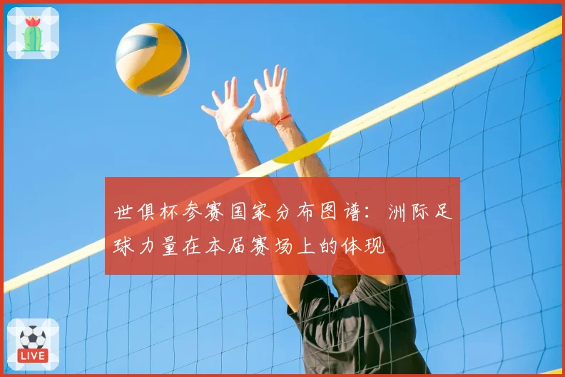 世俱杯参赛国家分布图谱：洲际足球力量在本届赛场上的体现