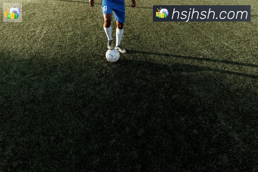 leyu乐鱼登录入口发展历程