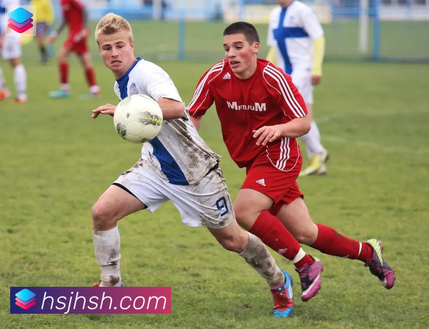 leyu乐鱼登录入口荣誉