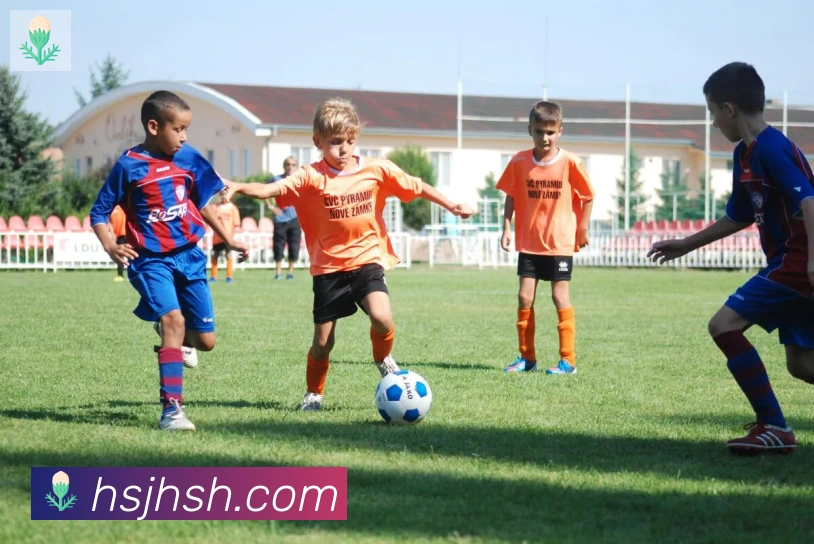 leyu乐鱼登录入口荣誉